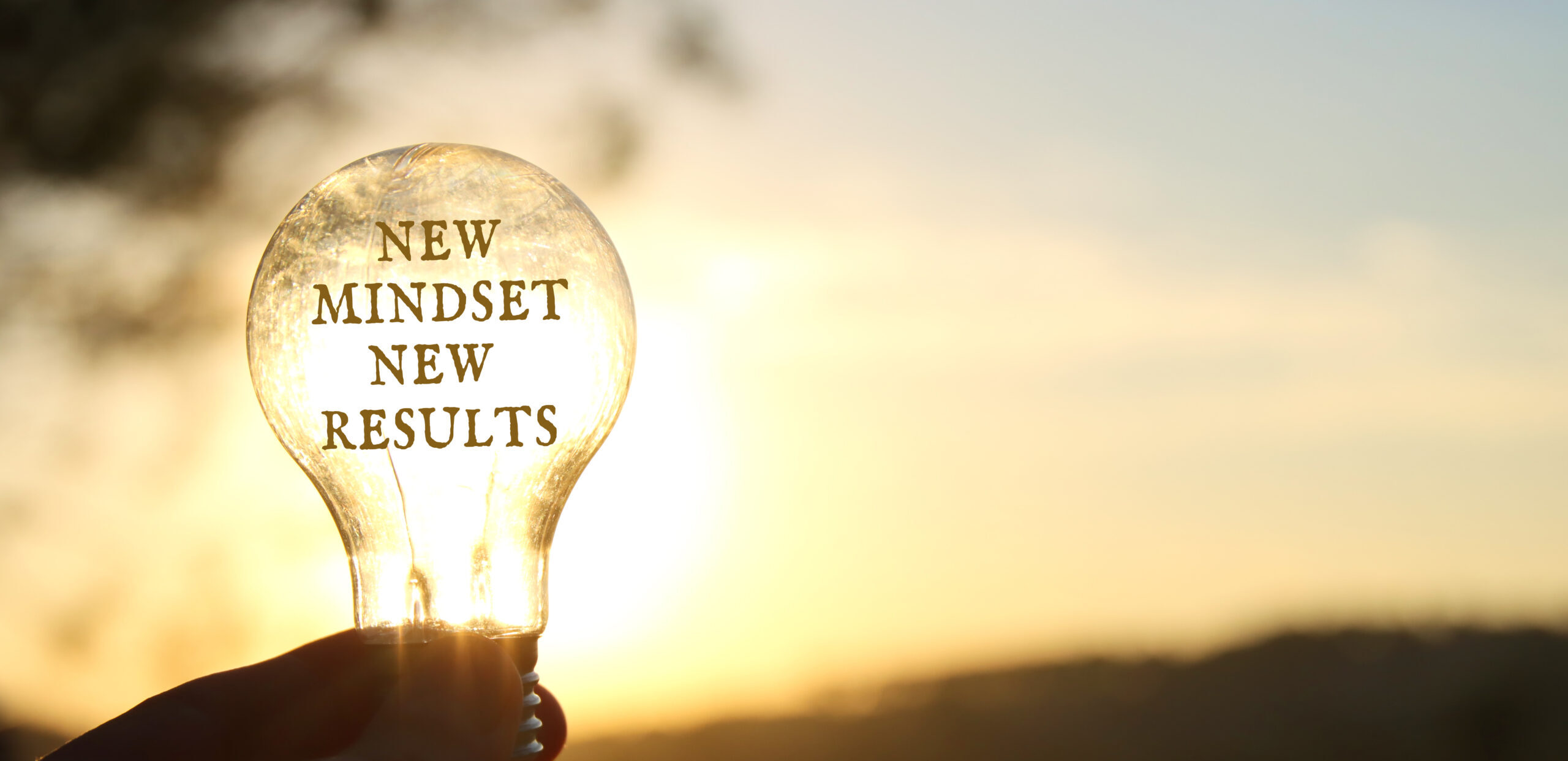 AdobeStock 558623082 scaled e1772640475603